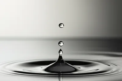 Illustration silent - Image 1