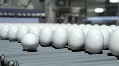 Illustration defective - Image 1