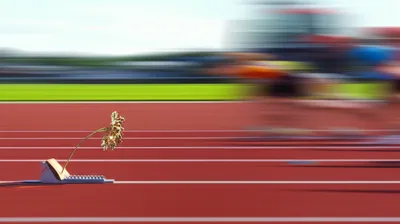 Illustration defaults - Image 1