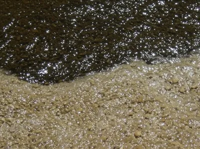 Illustration cleansing