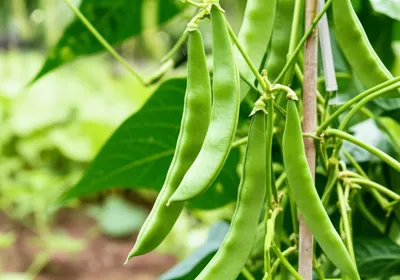 Illustration snaps - Image 1