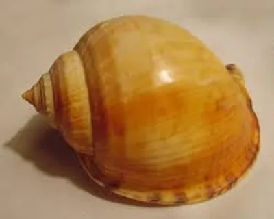 Illustration helmet - Image 2