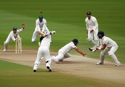 Hình ảnh minh họa fielders