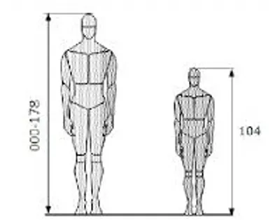Illustration stature - Image 2