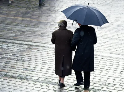 Illustration gallant - Image 1