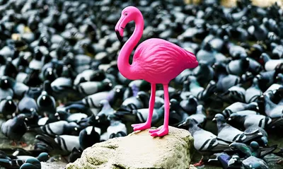 Illustration toot - Image 1