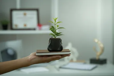 Illustration husbands - Image 1