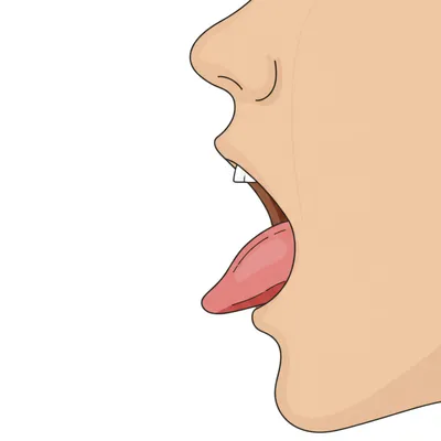 Illustration fronts - Image 1