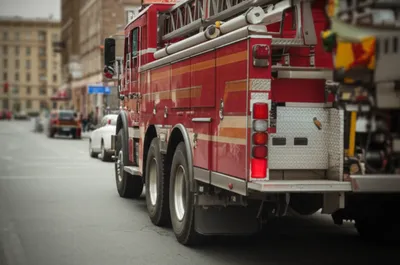 Illustration tillers - Image 1