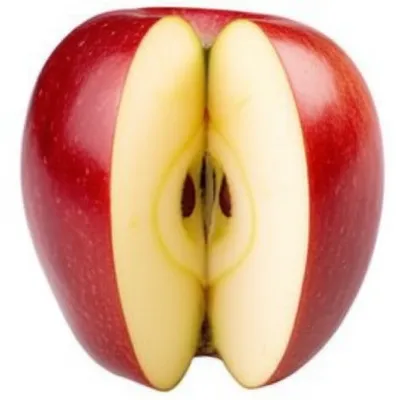 Illustration entire - Image 1