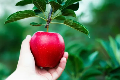 Illustration taking - Image 1