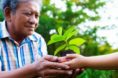 Illustration traduce - Image 1