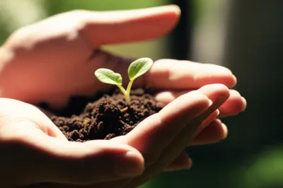 Illustration tender - Image 1