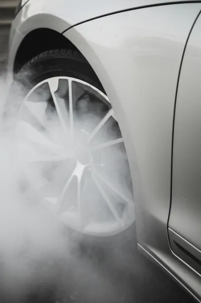 Illustration guards - Image 1