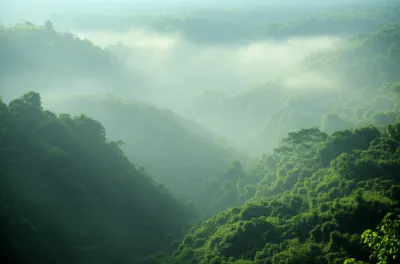 Illustration mists - Image 1