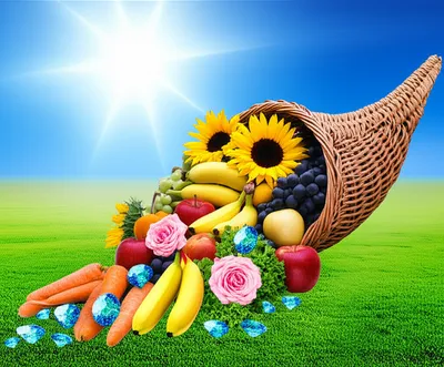 Illustration loads - Image 1