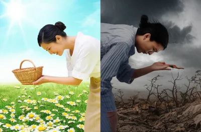 Illustration fare - Image 1