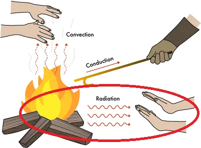 Illustration radiate - Image 2