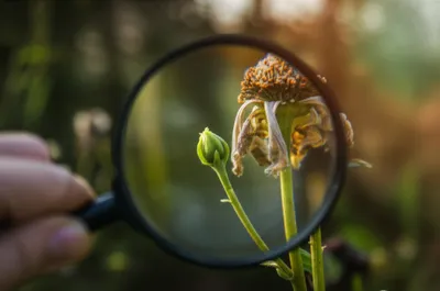 Illustration plus - Image 1