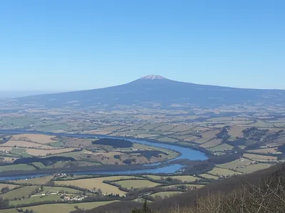 Illustration landscape