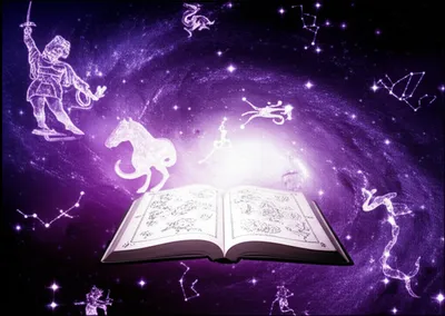 Illustration lores - Image 1