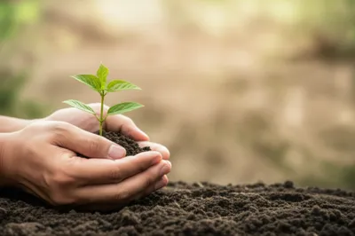 Illustration nicer - Image 1