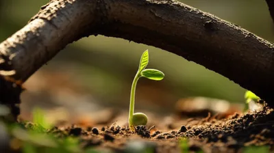 Illustration thwarted - Image 1