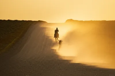 Illustration trails - Image 1