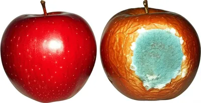 Illustration ran - Image 1