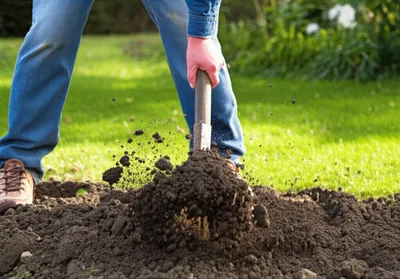 Illustration spitting - Image 1