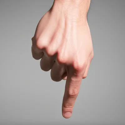 Illustration nos - Image 1