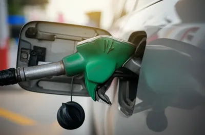 Illustration shorted - Image 1