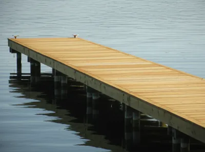 Illustration planking - Image 1