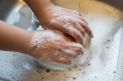 Illustration suds - Image 1