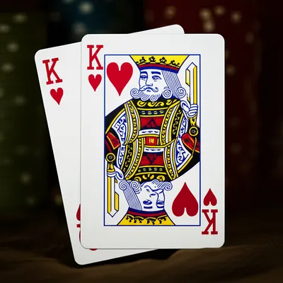 Illustration canine - Image 1