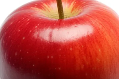 Illustration skin - Image 1