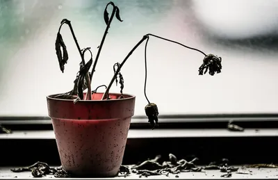 Illustration unattended - Image 1