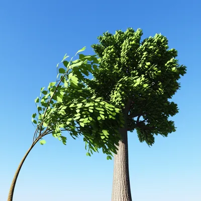 Hình ảnh minh họa submits - Ảnh 1