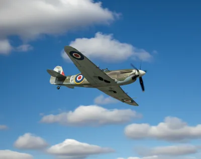 Illustration roundel - Image 1