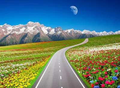 Illustration spanned - Image 1