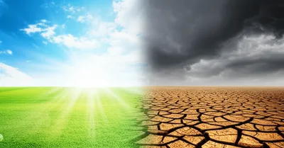 Illustration opposite - Image 1