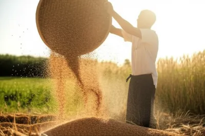 Illustration fan - Image 1