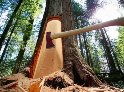 Illustration hew - Image 1