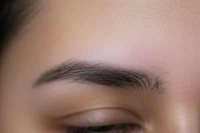 Illustration foreheads - Image 1