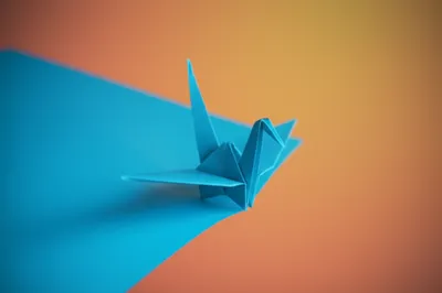 Illustration plication