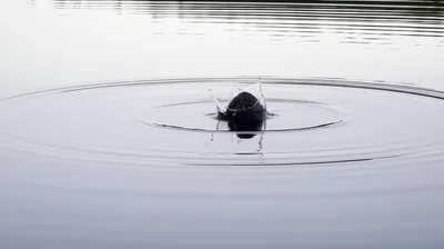 Illustration disrupts - Image 1