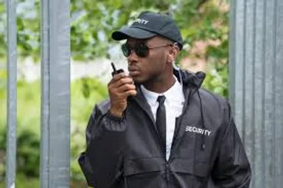 Illustration guardian - Image 2