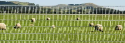 Illustration gauze - Image 1