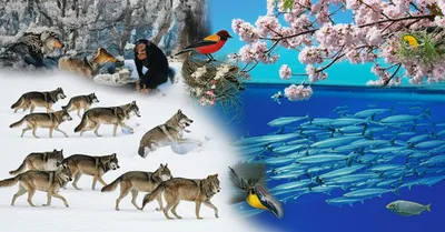 Illustration behaviours