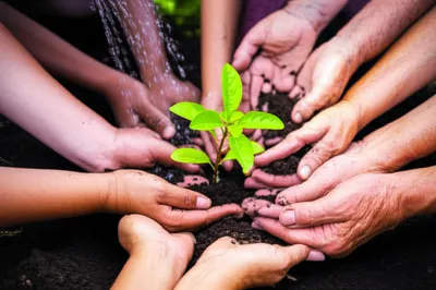 Illustration clubbed - Image 1